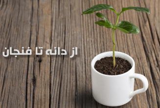 مقاله از دانه تا فنجان